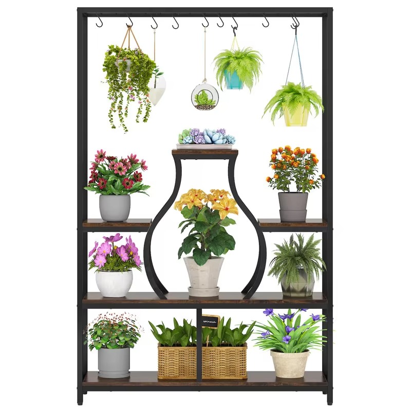 Home Garden Bonsai Display Dec - Bonsai Garden Wall review and price