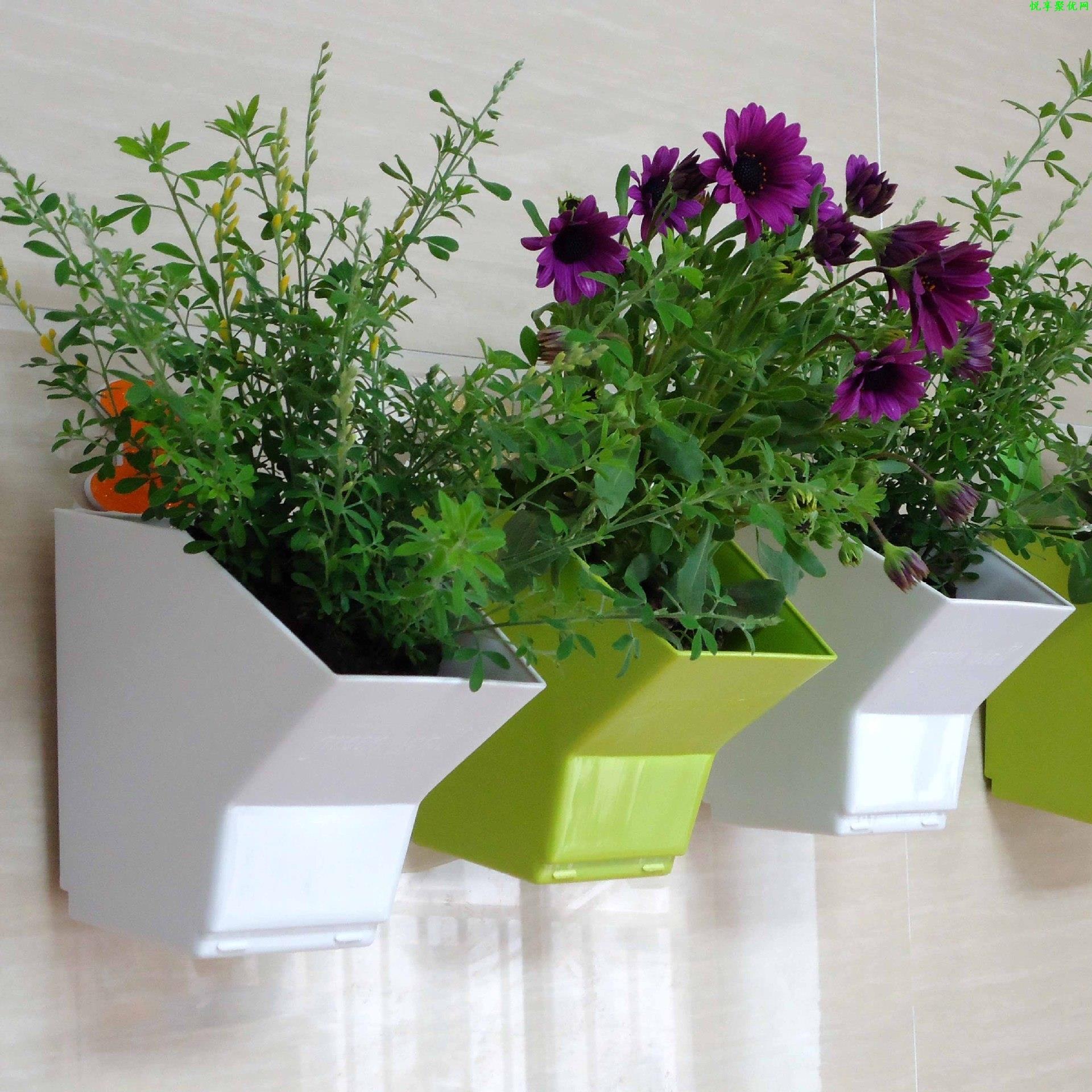 2 pcs Wall Hanging Planter Flo - Bonsai Garden Wall review and price