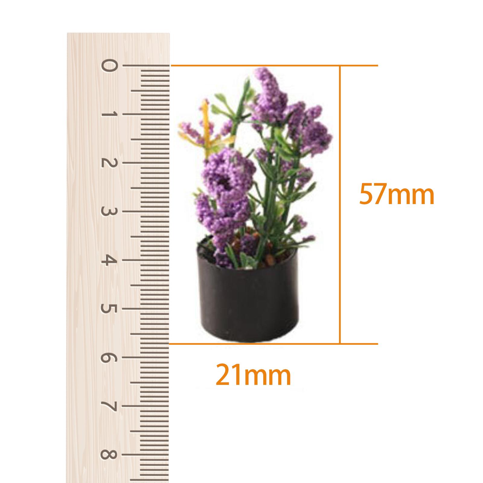 1/12 Miniature Flower Bonsai O - Bonsai Garden Entrance review and price
