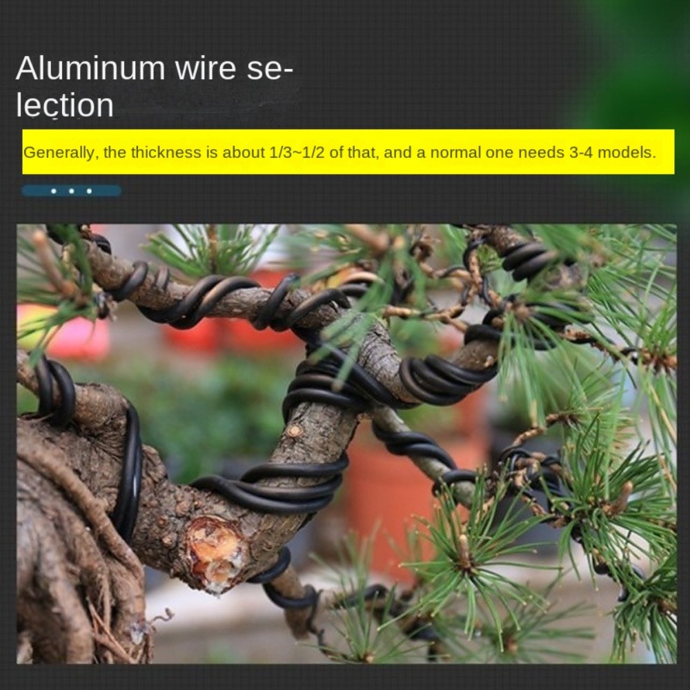 Aluminum Bonsai Wire Garden Bo - Bonsai Wire Aluminum review and price