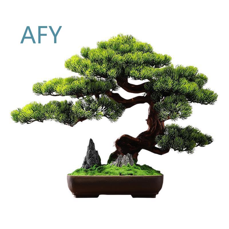 Simulated Pine Bonsai for Home - Bonsai Garden Entrance review and price