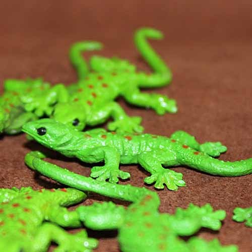 Simulation Lizard Reptile Anim - First Bonsai Garden review and price