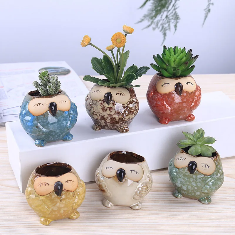 Mini Ceramic Owl Succulent Pla - Bonsai Garden Wall review and price