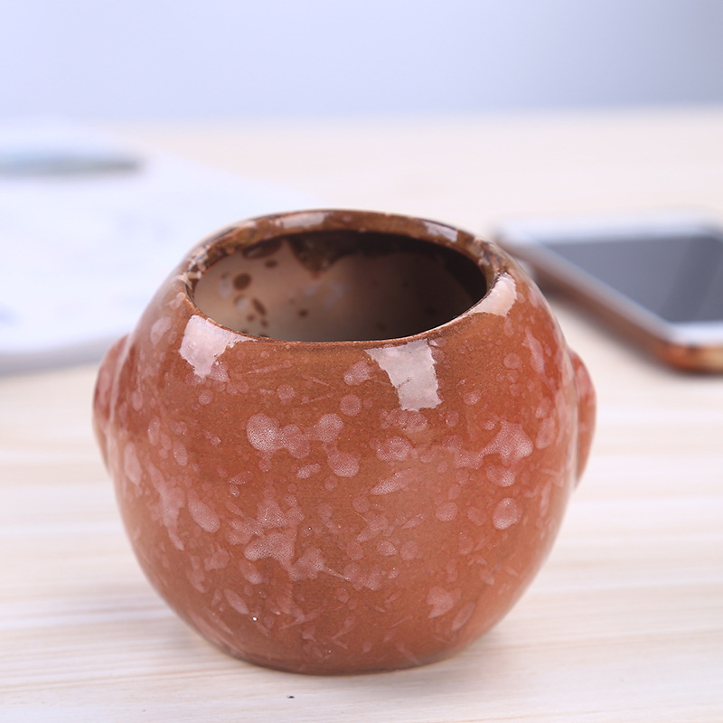 Mini Ceramic Owl Succulent Pla - Bonsai Garden Wall review and price